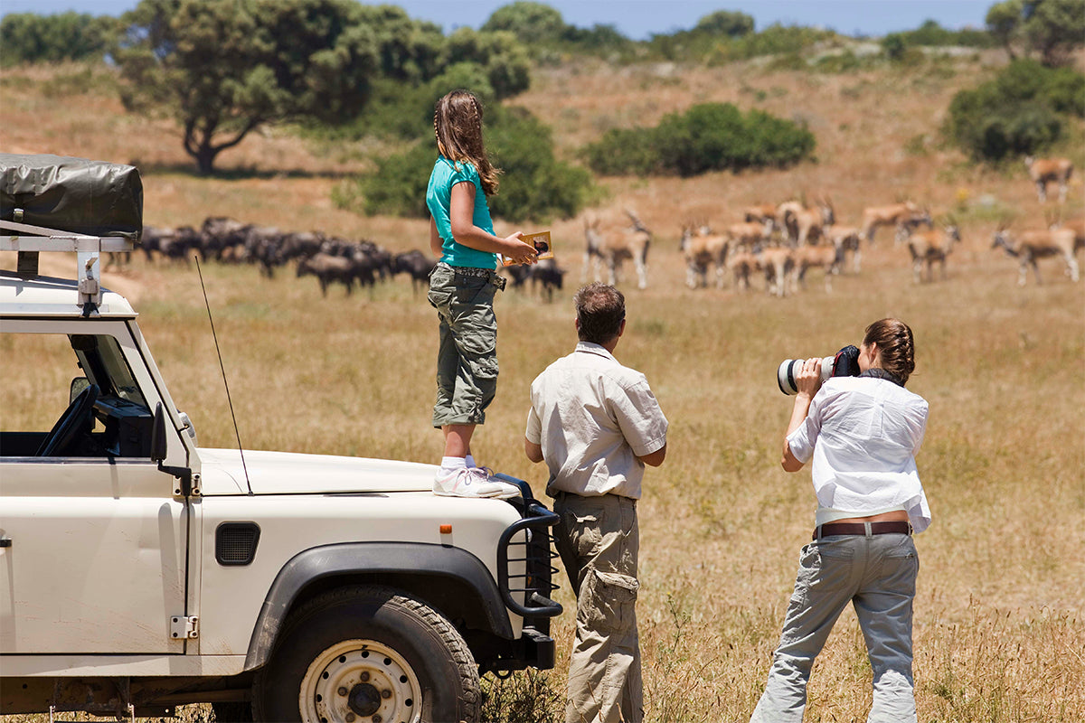 Starter vs Pro Wildlife Kits: What Do You Really Need?