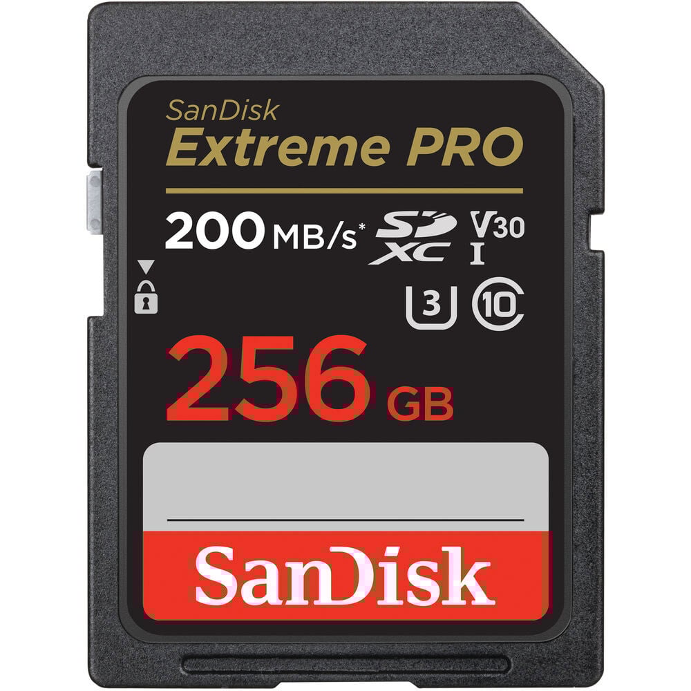 SanDisk Extreme Pro 256GB SD card on a white background
