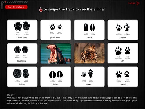tracks