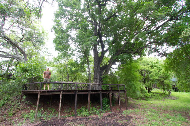 Ndzhaka is prime leopard habitat