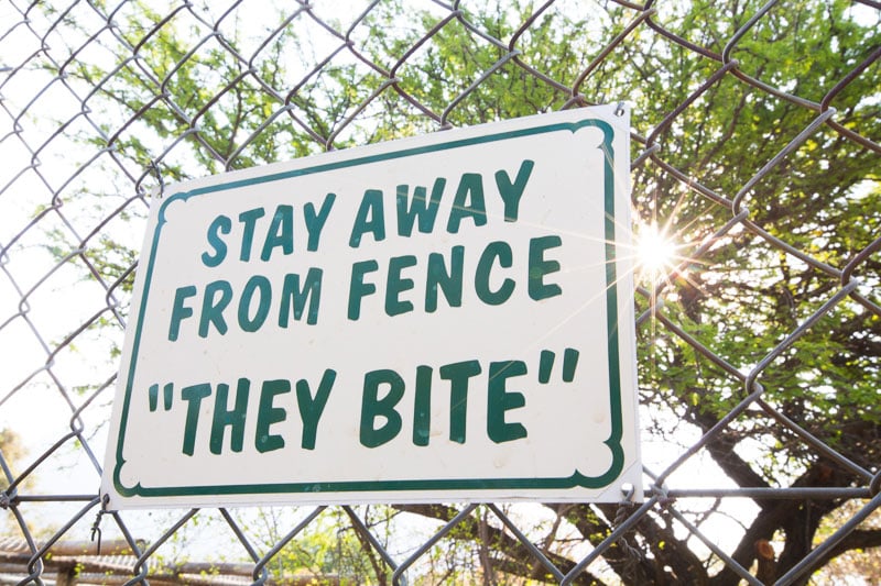 Sign on fence saying "Stay away from fence "they bite""