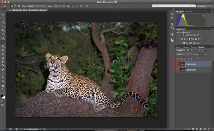 Screenshot of an image in Photoshop indicating how to toggle between layers
