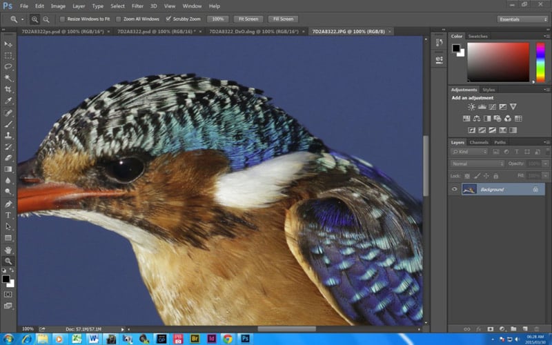 Screenshot of a large, in-camera JPEG in photoshop