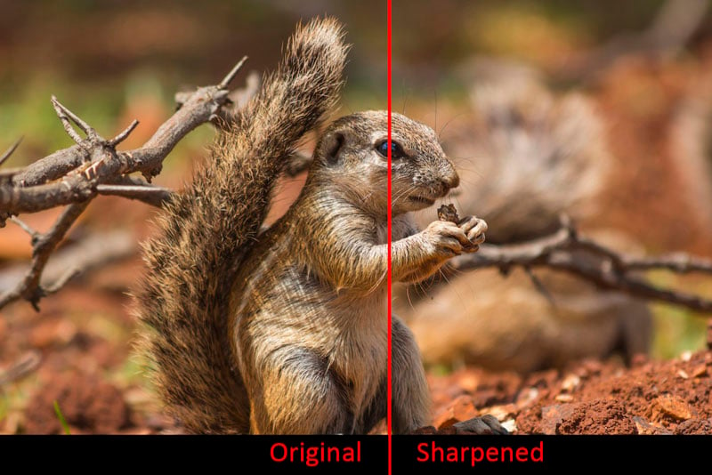comparison of unsharpened and sharpened image