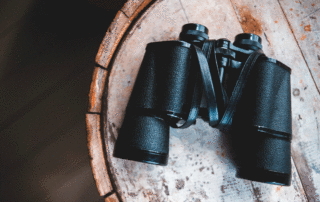 Binoculars by Erik McLean