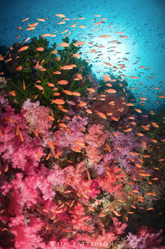 Underwater photograph