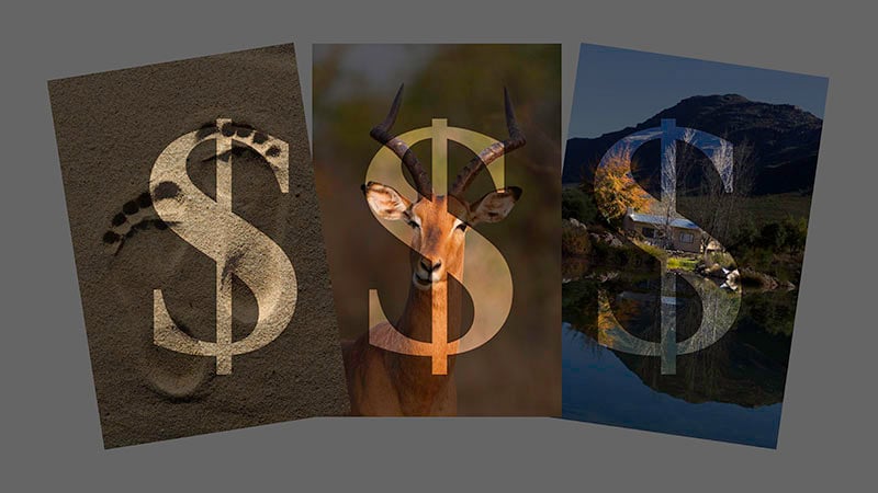 images with dollar signs overlay