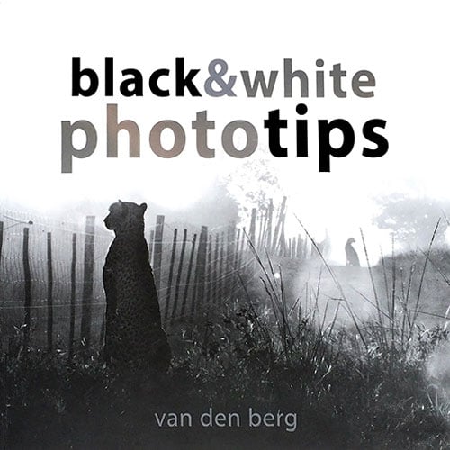 Black & White Photo Tips