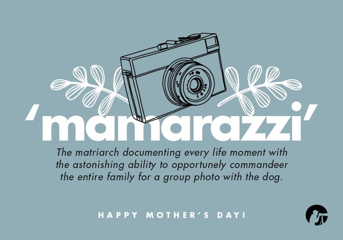 MAMARAZZI