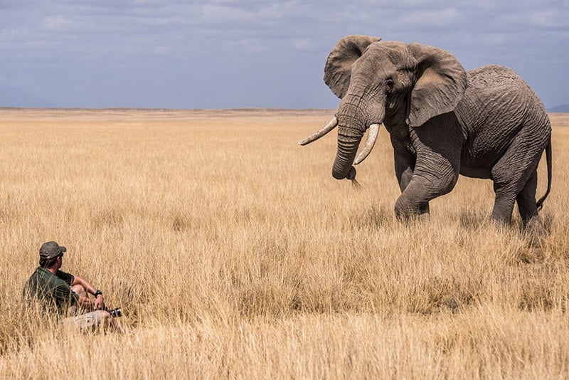 A beautiful shot of wildlife photographer Greg du Toit sitting really close to an elephant.