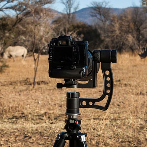 gimbal head
