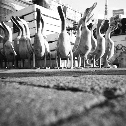 wooden ducks at stall