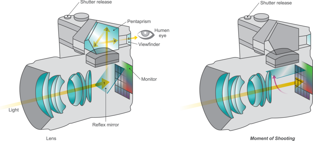 camera-workings-diagram-western-king camera-workings-diagram-western-king