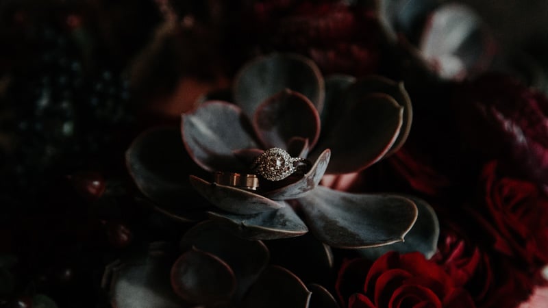 A couples wedding rings photographed by Taylor Hernandez