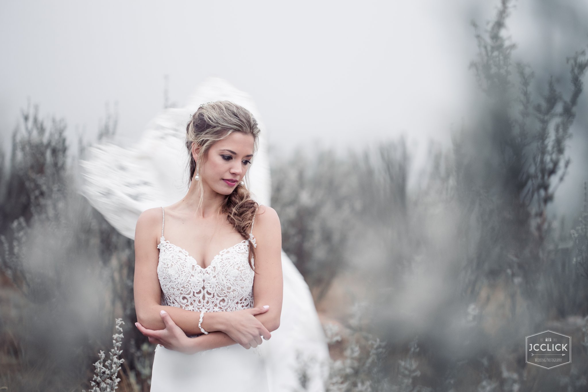 JCCLICK Photography wedding photograph