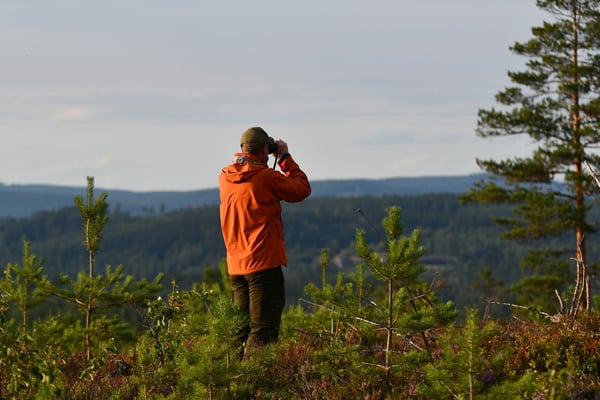 Man in forest with a pair of binoculars