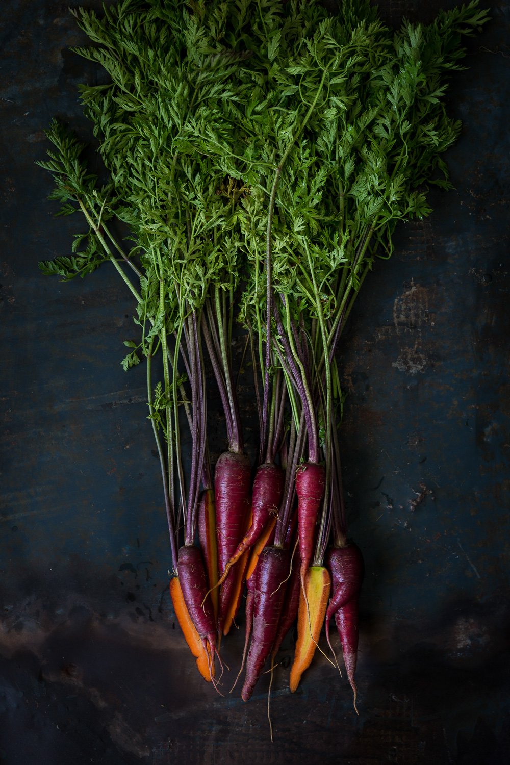 Image by Melissa Delport