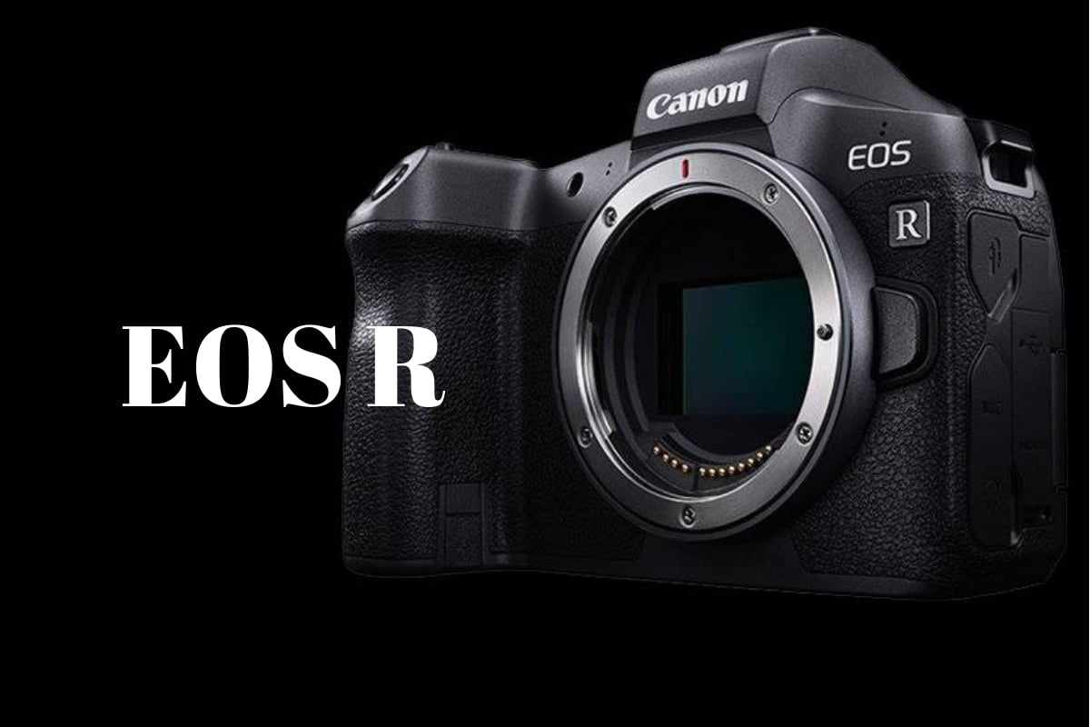 vita len eos meet the new canon r full frame mirrorless camera 4 rf vita len eos meet the new canon r full frame mirrorless camera 4 rf