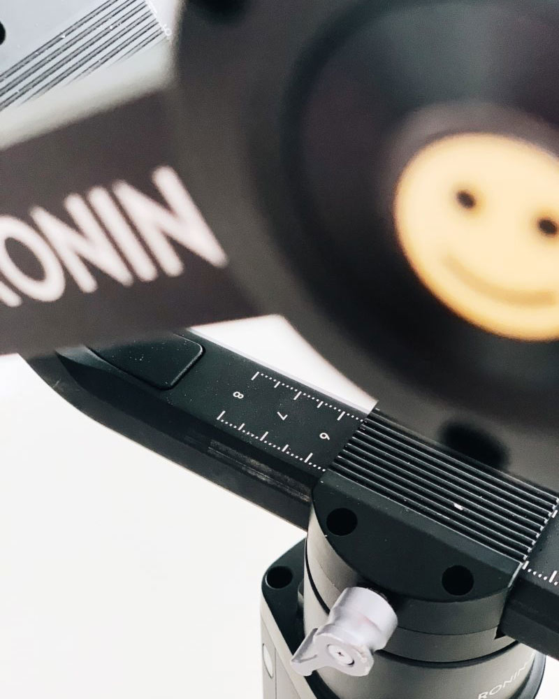 damiane-van-reenen-ronin-review-1-re-size Ronin S Review
