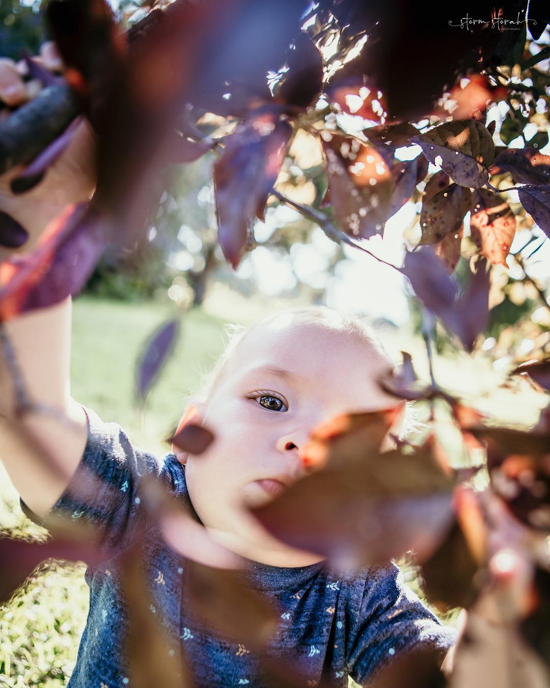 Storm Storah Photography Storm Storah Photography