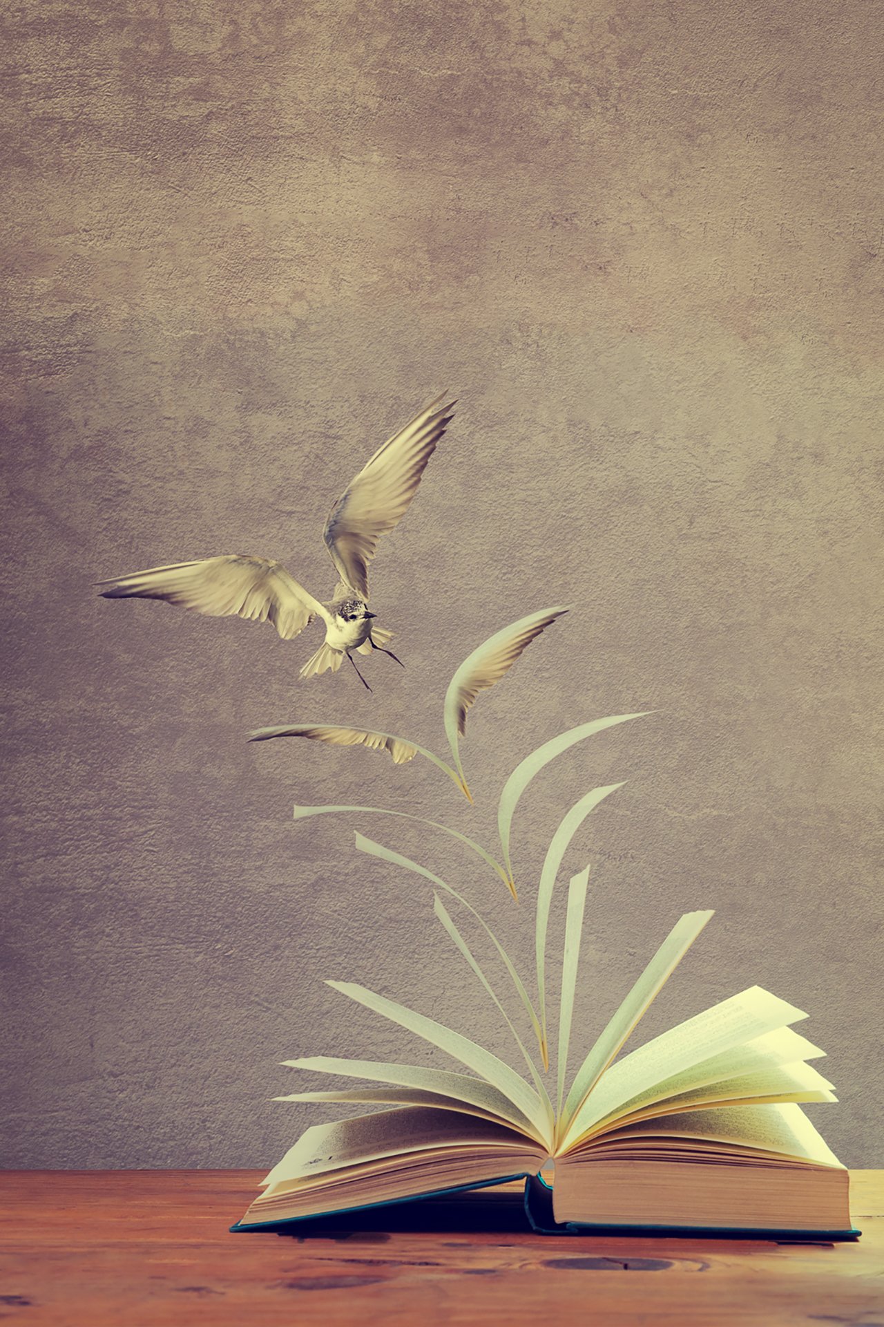 Photoshop magic. I had a lot of fun doing this image. Message: you have to apply your knowledge and take action in life