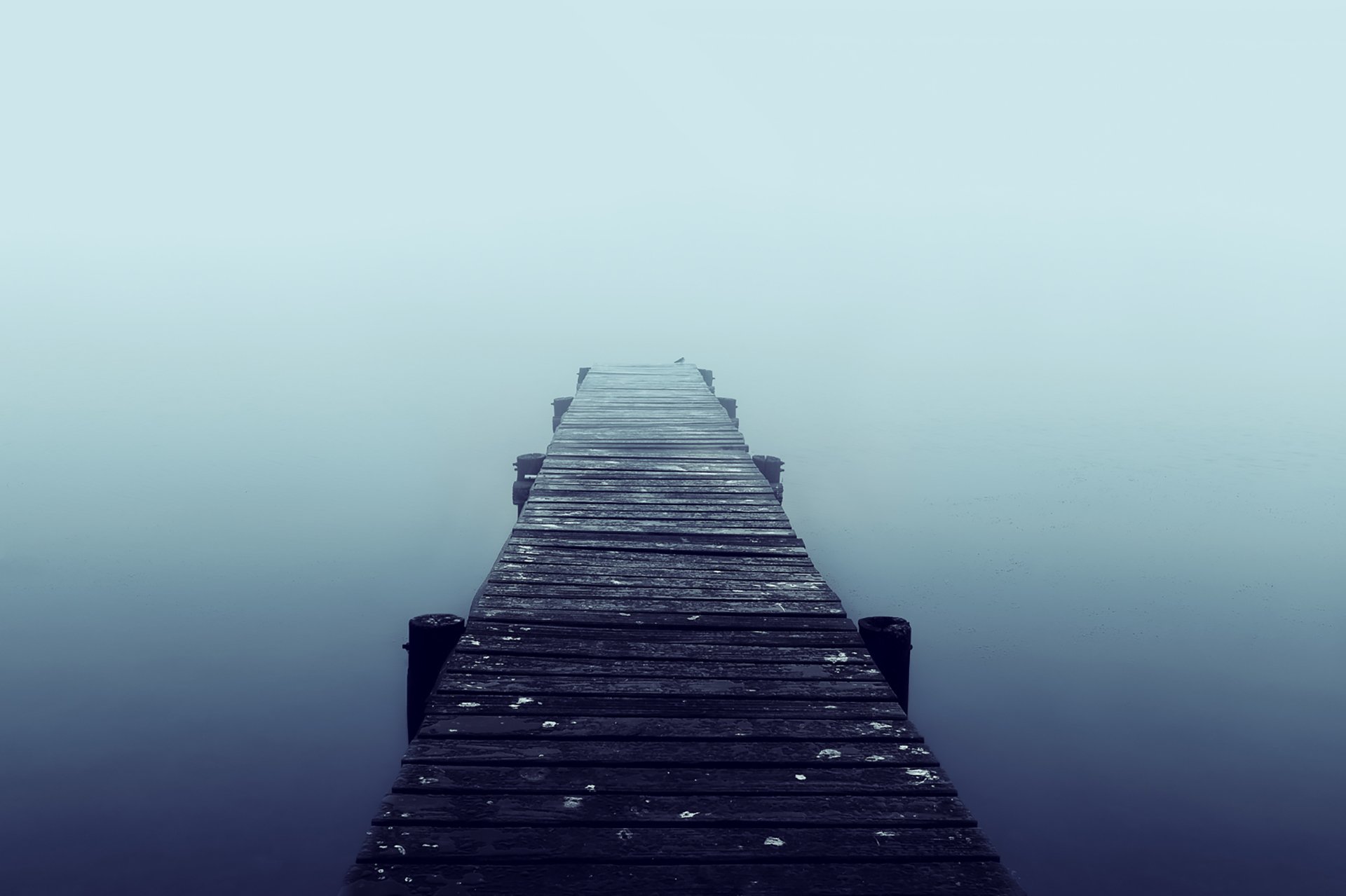 Taken in Dullstroom. The perfect misty morning. A very minimalistic image with a calming effect