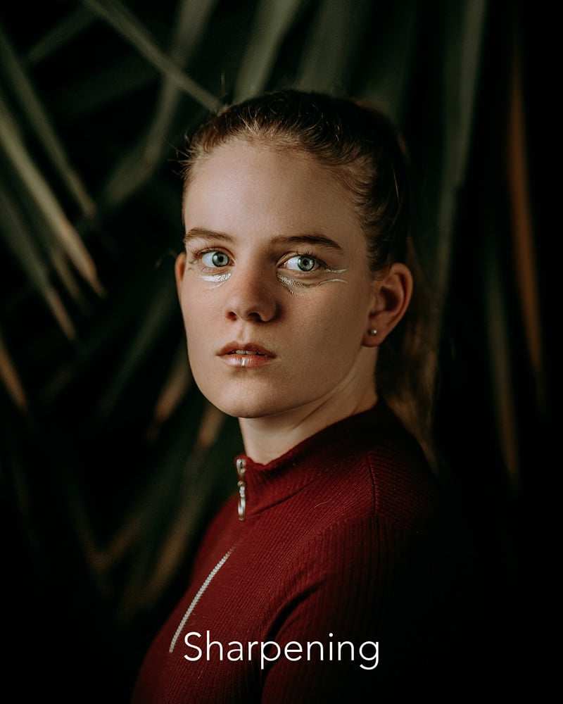 Michael Nieuwoudt 5 Phase Portrait Editing Michael Nieuwoudt 5 Phase Portrait Editing