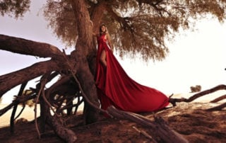Steven Segal Photography