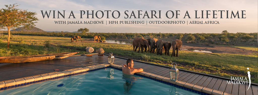 Buy an Aerial Art book and stand a chance to win a luxury photo safari at Jamala Madikwe.