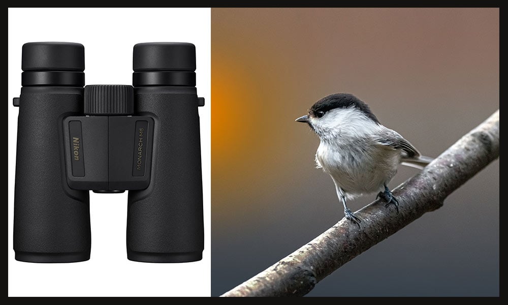 7 Best binoculars for birding in 2022