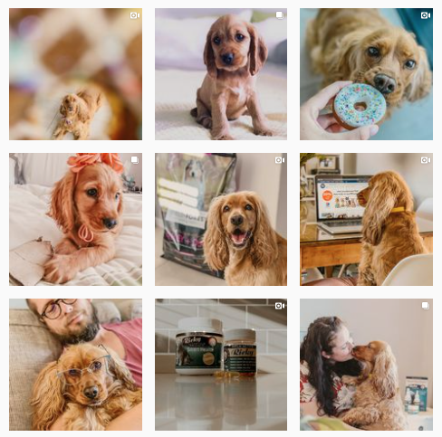 maxandwillow Instagram account