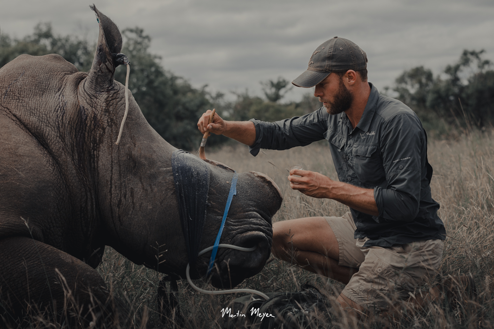 MARTIN-MEYER-BLOG-RHINO rhino