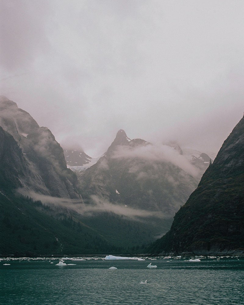 Conservation photographer Willem van den Heever