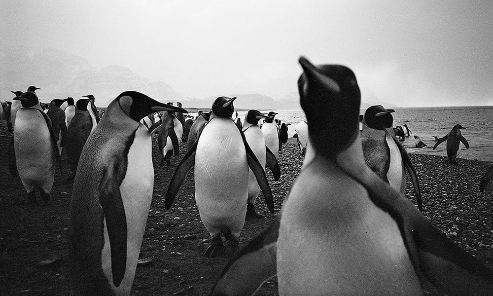 Conservation photographer Willem van den Heever