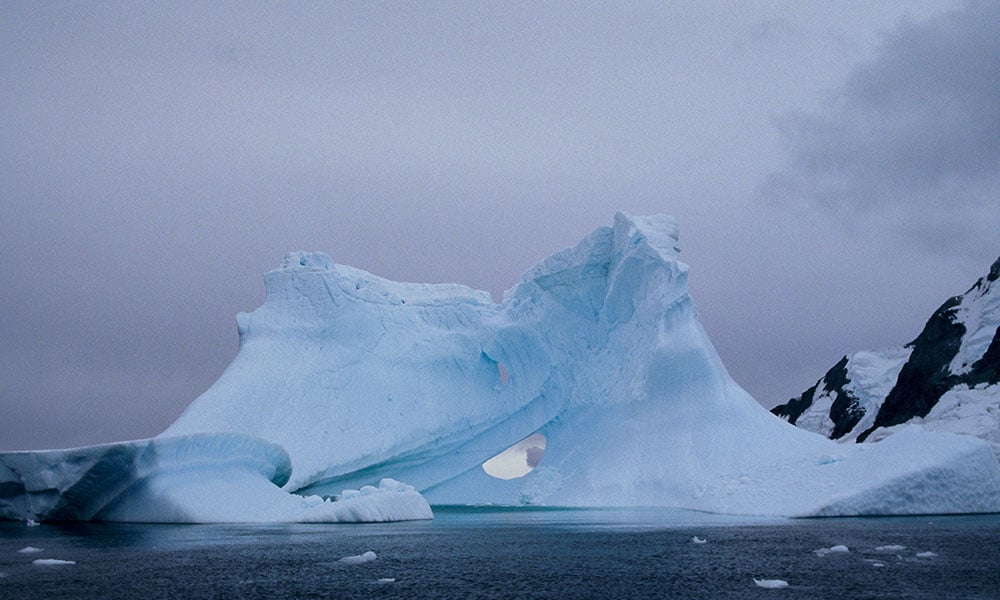Conservation photographer Willem van den Heever