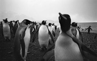 Conservation photographer Willem van den Heever