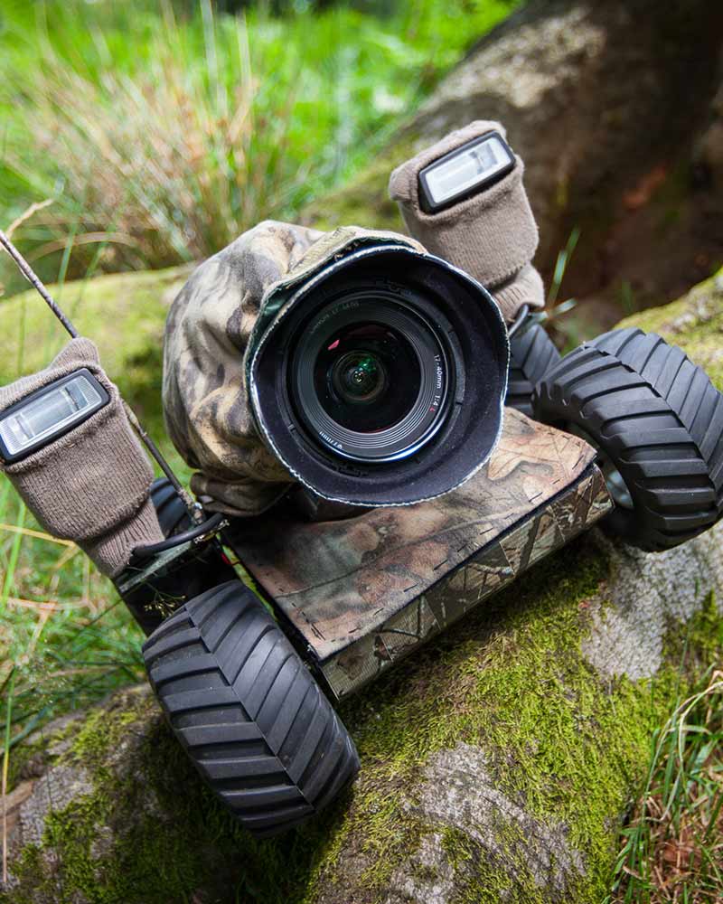 International wildlife photography tips from Will Burrard-Lucas.