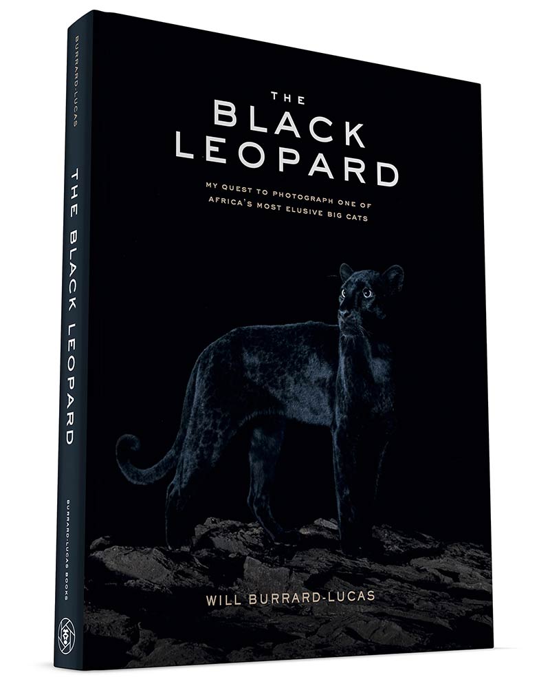 International wildlife photography tips from Will Burrard-Lucas.