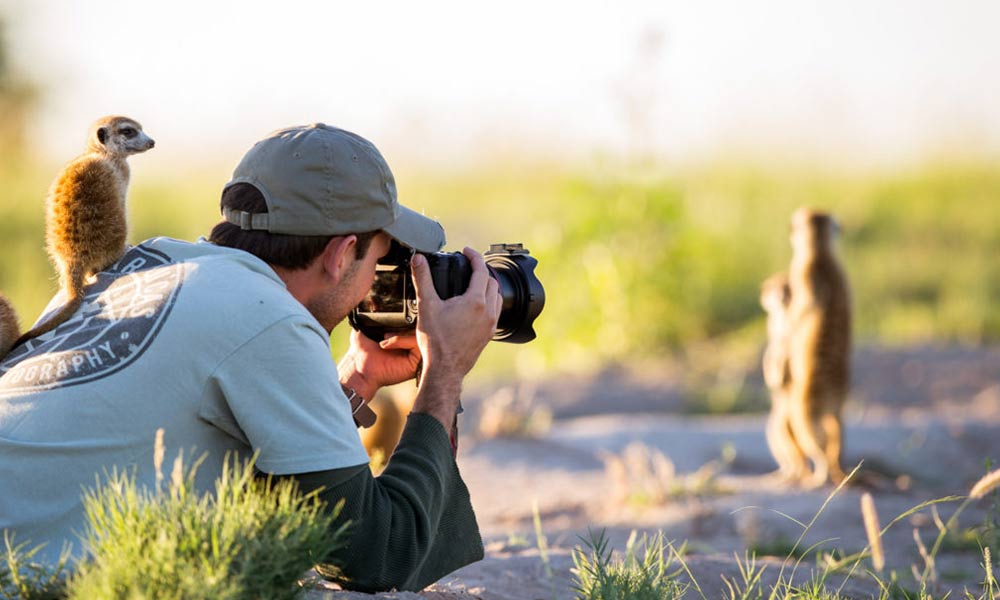 International wildlife photography tips from Will Burrard-Lucas.