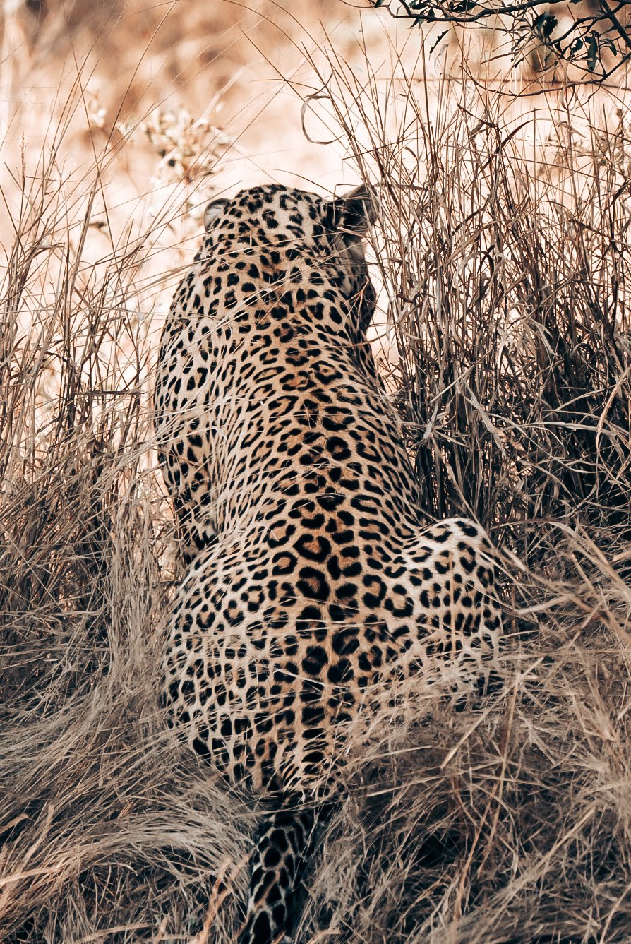 Gemma Wild on safari with the Tamron 150-500mm f/5-6.7 lens