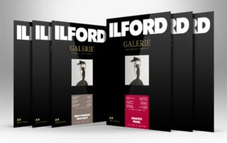 Ilford paper Feature