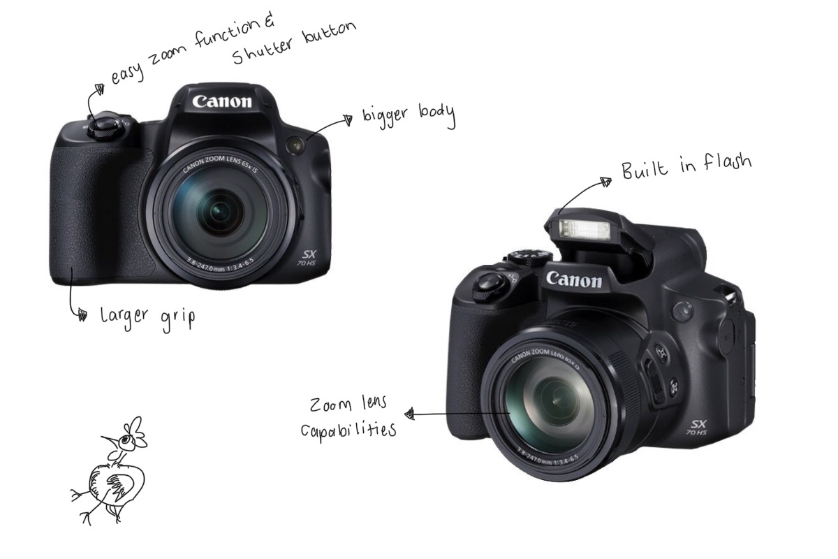 Bridge-cameras