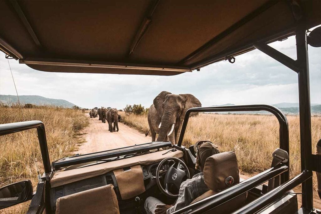 Our top picks for your next Safari Holiday 3