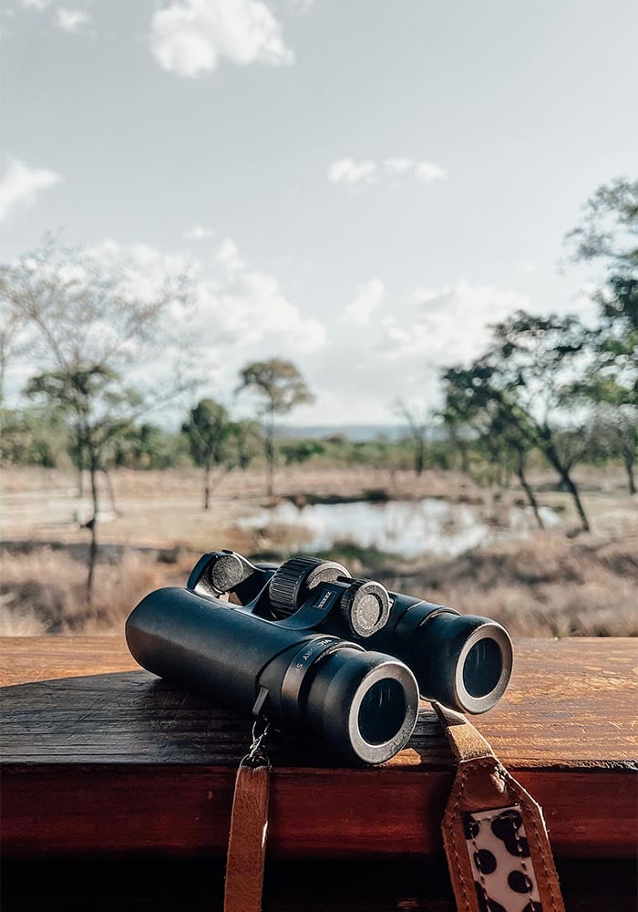 Into the Zambezi with Zeiss and Sony A Birding Safari with Jemma Wild