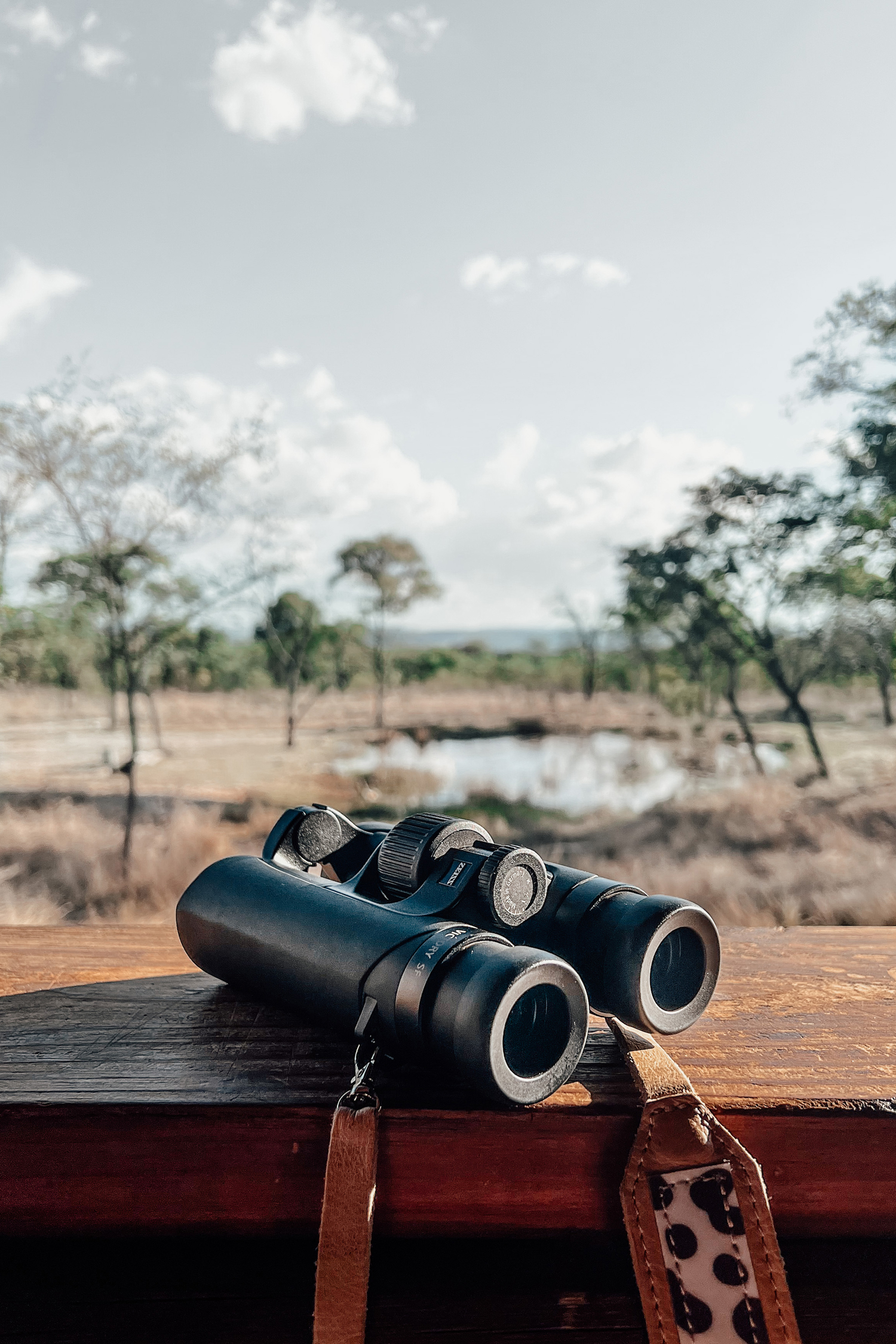 A Birding Safari with Jemma Wild