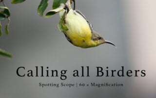 SPOTTINGSCOPE-2022-FEATURE-IMAGE