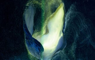 The Oracle Feature by Martini Coetzee