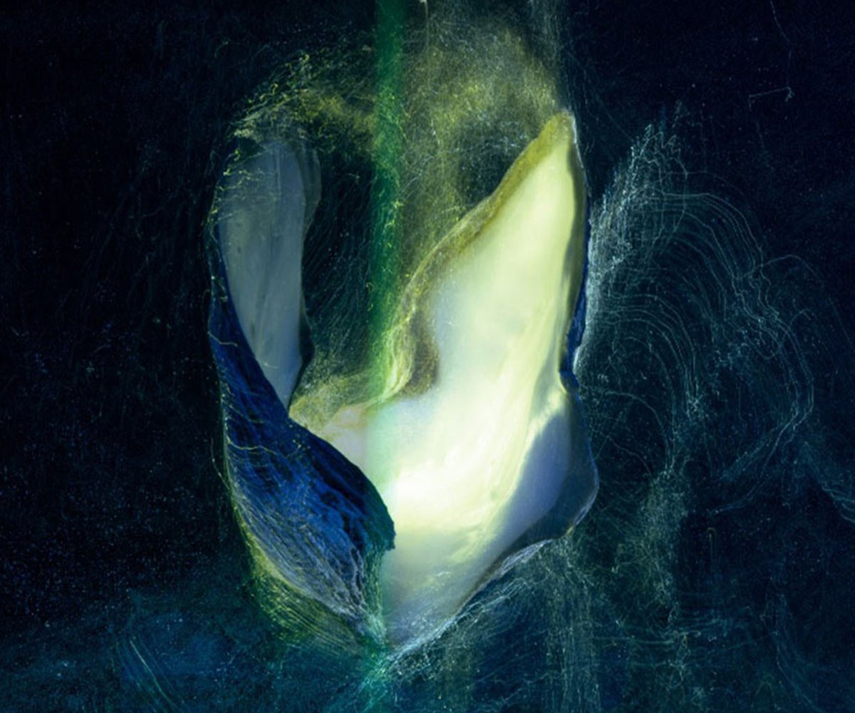The Oracle Feature by Martini Coetzee