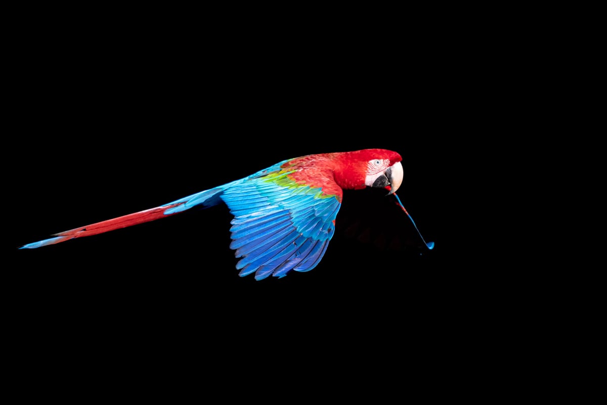 Photographic birding with Juan van den Heever Photographic birding with Juan van den Heever