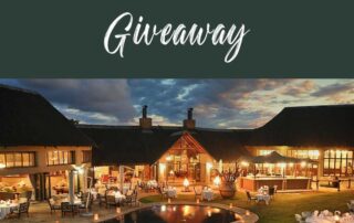 Ivory Tree Giveaway
